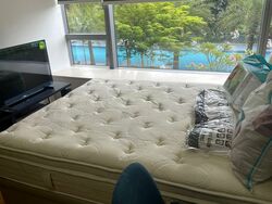 SilverSea (D15), Condominium #521412221